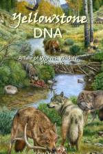 Yellowstone DNA: A Tale of Wolves, Wildlife and Humans af Scott Huber