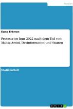 Proteste im Iran 2022 nach dem Tod von Mahsa Amini. Desinformation und Staaten af Esma Erkmen