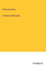 A Visit to Salt Lake