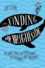 Finding Mr. Brightside af Jay Clark