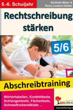 Rechtschreibung stärken / Klasse 5-6 af Gerlinde Maier