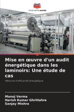 Mise en ¿uvre d'un audit énergétique dans les laminoirs: Une étude de cas af Manoj Verma