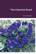 The Celestial Road af Anya Vonderluft