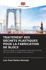 TRAITEMENT DES DÉCHETS PLASTIQUES POUR LA FABRICATION DE BLOCS af Luis Paúl Núñez Naranjo