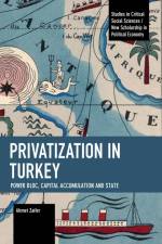 Privatization in Turkey af Ahmet Zaifer