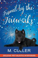 Framed by the Fireworks af M. Culler