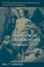 Book of Deuteronomy, Chapters 1-11 af Bill T Arnold