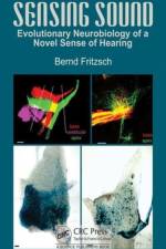 Sensing Sound af Bernd (University of Iowa) Fritzsch