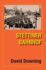 Stettiner Bahnhof af David Downing