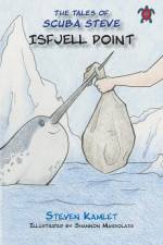 Isfjell Point af Steven Kamlet