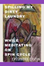 Spilling My Dirty Laundry While Meditating On Spin Cycle af Cassandra Lasdin