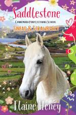 Saddlestone Connemara Pony Listening School | Sinead and Strawberry
