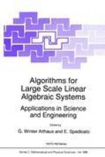 Algorithms for Large Scale Linear Algebraic Systems: af E. Spedicato