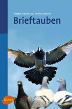 Brieftauben af Margrit Lipczinsky