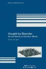 Caught by Disorder af Peter Stollmann