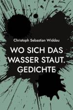 Wo sich das Wasser staut af Christoph Sebastian Widdau