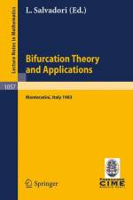 Bifurcation Theory and Applications af L. Salvadori