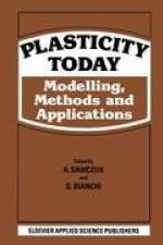 Plasticity Today af G. Bianchi