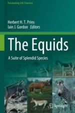 The Equids
