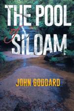 The Pool of Siloam af John Goddard