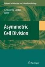 Asymmetric Cell Division af Alvaro Macieira-Coelho