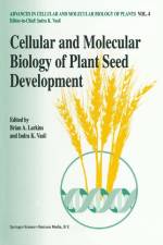 Cellular and Molecular Biology of Plant Seed Development af Indra K. Vasil