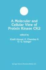 A Molecular and Cellular View of Protein Kinase CK2