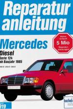Mercedes 200 Diesel / 250 D / 300 D, Serie 124, ab 1985
