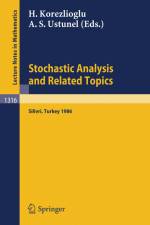 Stochastic Analysis and Related Topics af Ali S. Ustunel