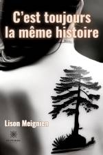 C¿est toujours la même histoire af Lison Meignien