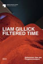 Liam Gillick. Filtered Time af Barbara Helwing