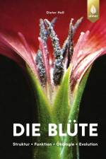 Die Blüte af Dieter Heß