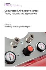 Compressed Air Energy Storage: Types, Systems and Applications af David S-K Ting