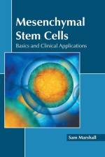 Mesenchymal Stem Cells: Basics and Clinical Applications