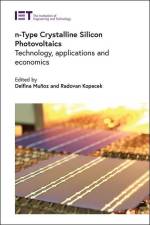 N-Type Crystalline Silicon Photovoltaics af Delfina Muñoz