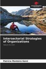 Intersectorial Strategies of Organizations af Patrícia Monteiro Gorni