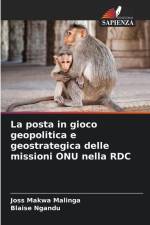 La posta in gioco geopolitica e geostrategica delle missioni ONU nella RDC af Joss Makwa Malinga