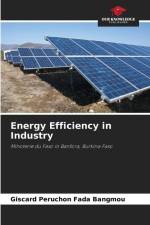 Energy Efficiency in Industry af Giscard Péruchon Fada Bangmou