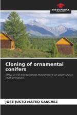Cloning of ornamental conifers af José Justo Mateo Sánchez