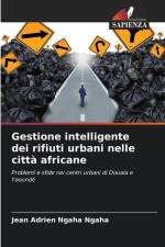 Gestione intelligente dei rifiuti urbani nelle città africane af Jean Adrien Ngaha Ngaha