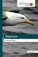 Albatross af Rhodora Magan