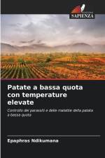 Patate a bassa quota con temperature elevate af Epaphras Ndikumana