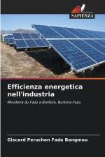 Efficienza energetica nell'industria af Giscard Péruchon Fada Bangmou