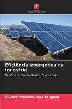 Eficiência energética na indústria af Giscard Péruchon Fada Bangmou