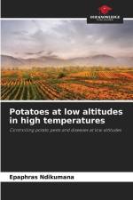 Potatoes at low altitudes in high temperatures af Epaphras Ndikumana