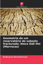 Geometria de um reservatório de subsolo fracturado: bloco Sidi Ifni (Marrocos) af Redouane Benmahmoud