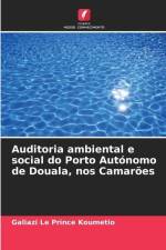 Auditoria ambiental e social do Porto Autónomo de Douala, nos Camarões af Galiazi Le Prince Koumetio
