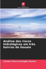 Análise dos riscos hidrológicos em três bairros de Douala af Casimir Pascal Kamgho Kamsu