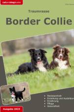 Traumrasse: Border Collie af Silke Deckerts