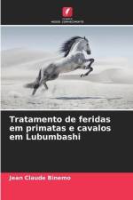 Tratamento de feridas em primatas e cavalos em Lubumbashi af Jean Claude Binemo